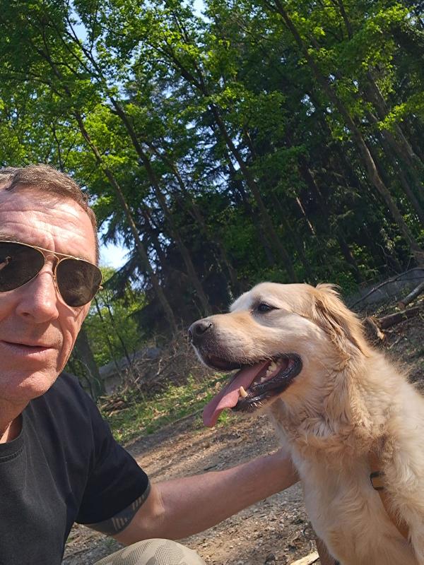 Casper, Un Golden Retriever Bello Da Impazzire